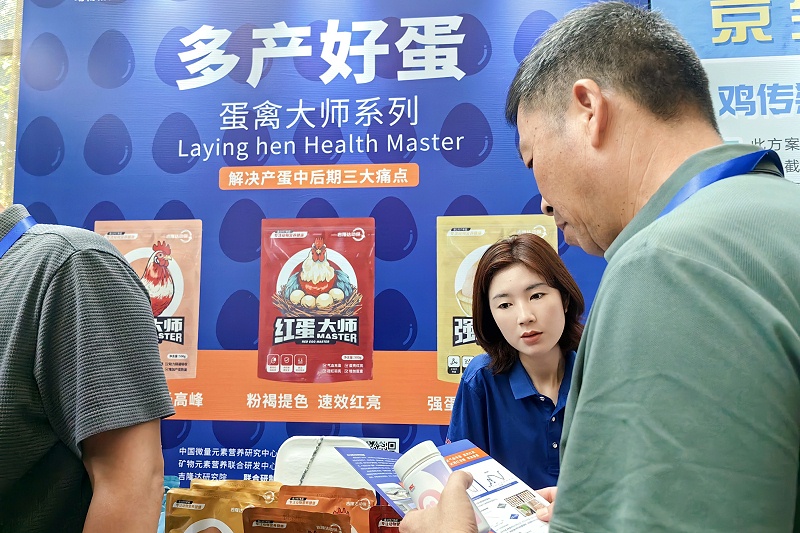 ����̳long8Ψһ�����������ݴ�ʦϵ���ܹ�ע