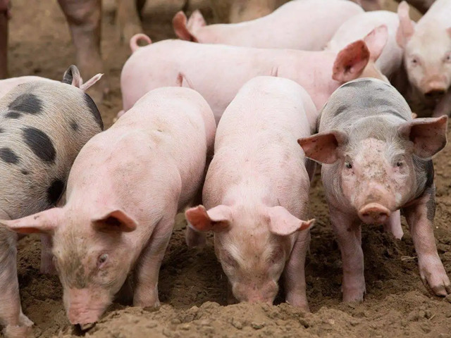 �＾������Ҫע��ʲô���������ƺ���Ҫ��һ��Ҫ�������ĵ�