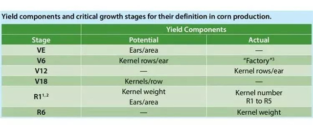 �������Ӽ�