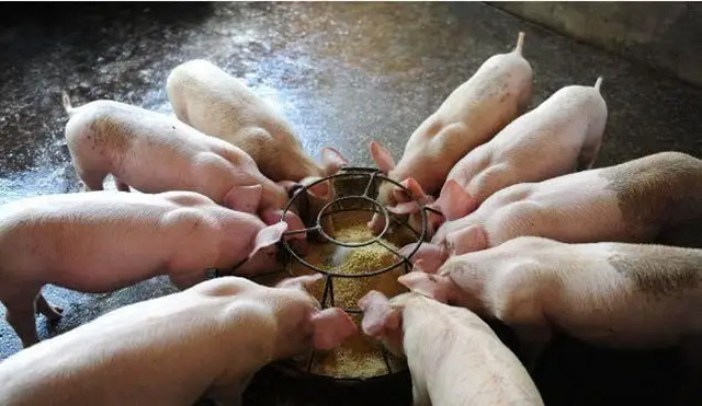 ������������