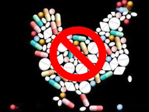 ��������������ϲ�ǲΰ룻�����Ż��������ƽ�������������