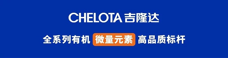 long8Ψһ��������