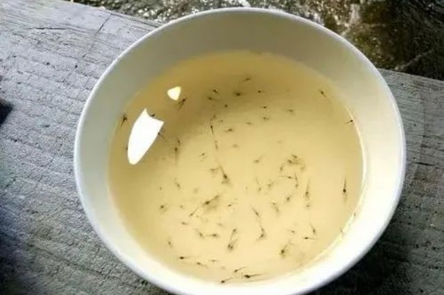 ��Ϻ���ڲ����ص�