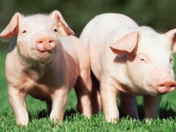 �ʰ���������������ʹ����ʲô�ô����б�Ҫȫ�����������������