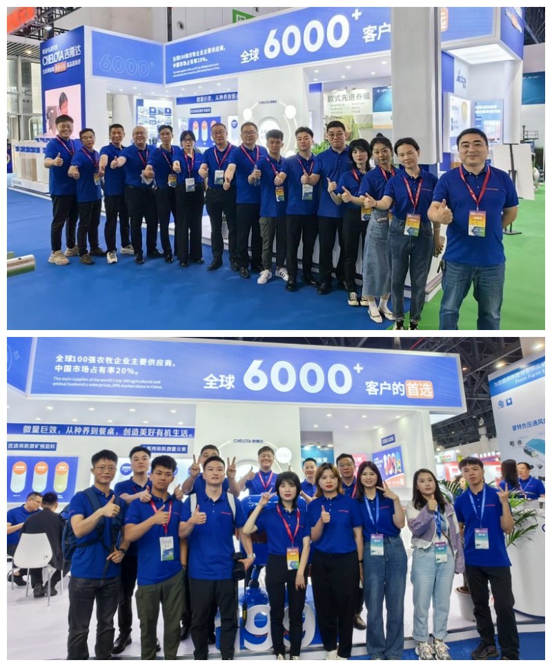 �󲩻�long8Ψһ���������Ŷ�