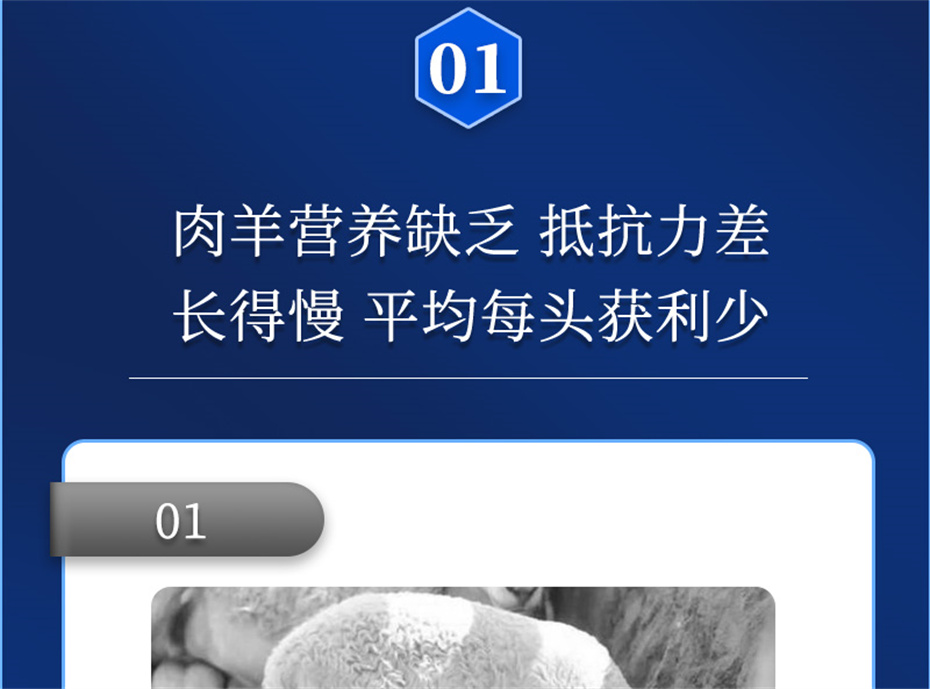 long8Ψһ�����������������Ӽ��������Ʒ����