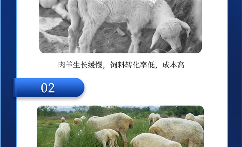 long8Ψһ�����������������Ӽ��������Ʒ����