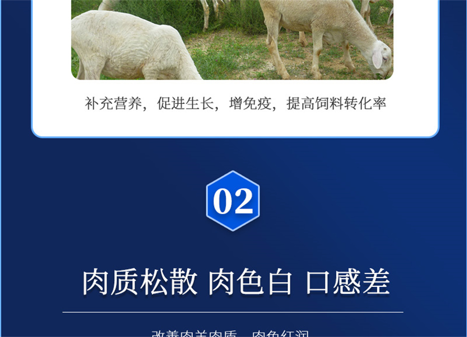 long8Ψһ�����������������Ӽ��������Ʒ����