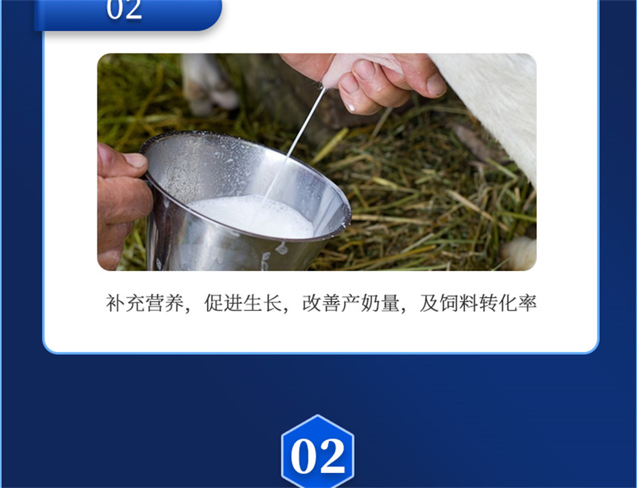 long8Ψһ��������ţ�������Ӽ���ţ����Ʒ����