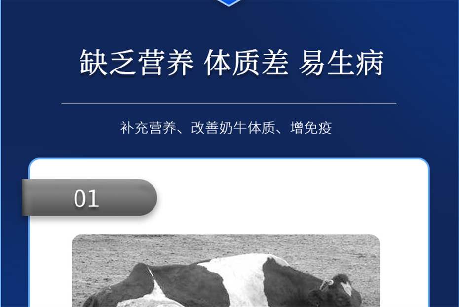 long8Ψһ��������ţ�������Ӽ���ţ����Ʒ����