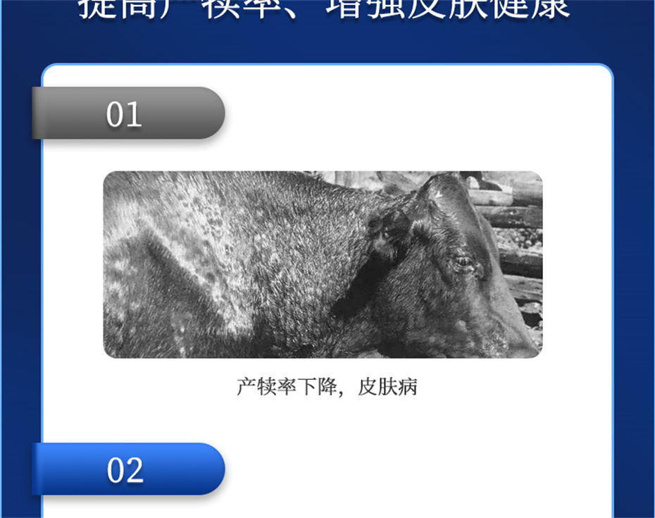 long8Ψһ��������ţ���������Ӽ�����Ѫţ���Ʒ����