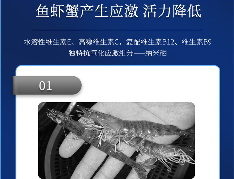 long8Ψһ��������ˮ���������Ӽ�����1�Ų�Ʒ����