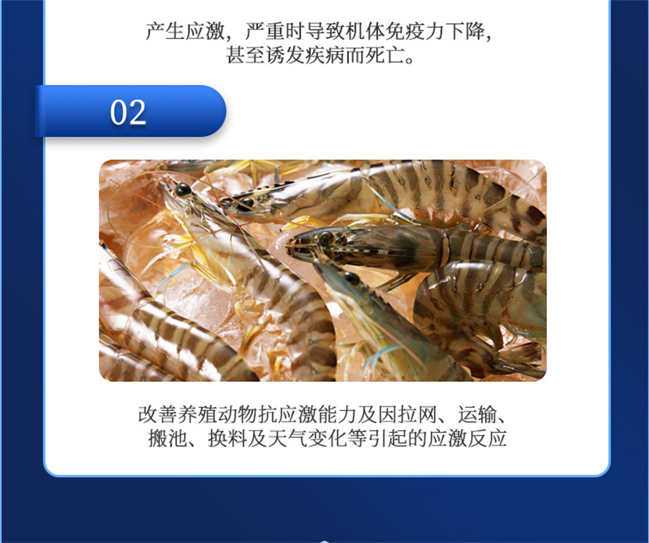 long8Ψһ��������ˮ���������Ӽ�����1�Ų�Ʒ����