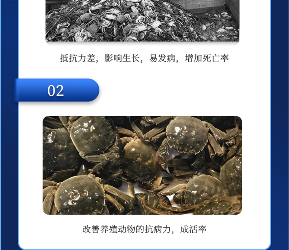 long8Ψһ��������ˮ���������Ӽ�����1�Ų�Ʒ����