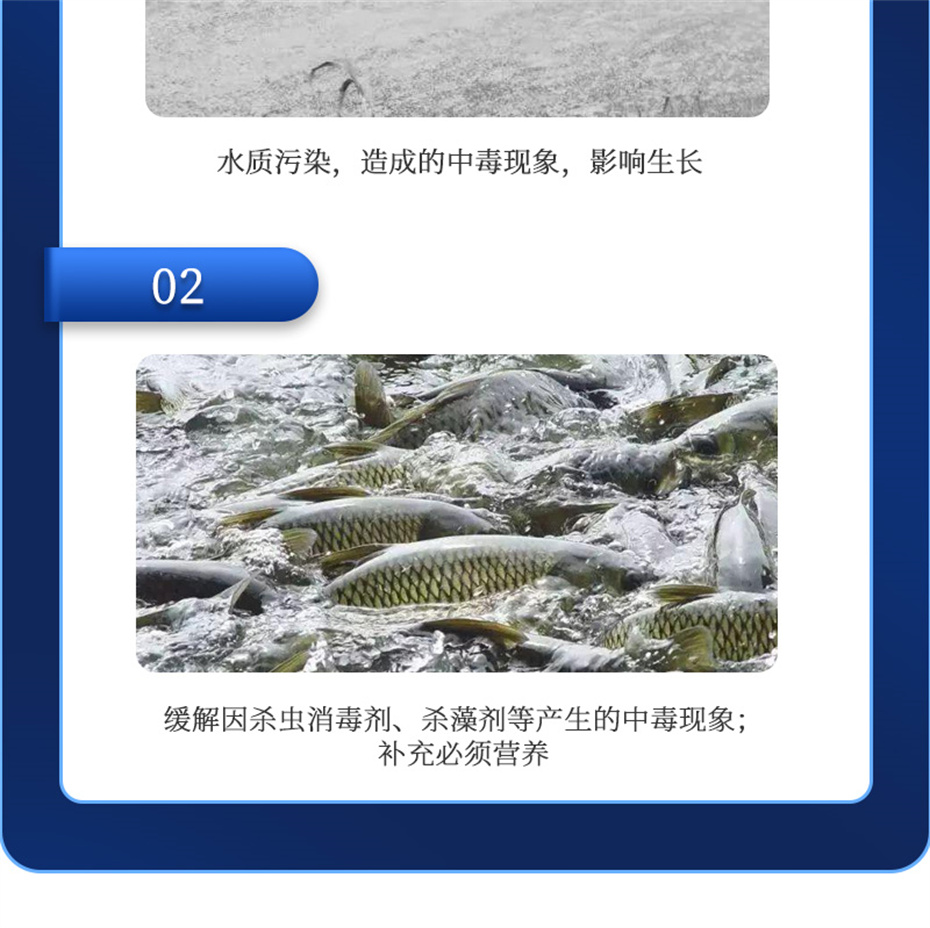 long8Ψһ��������ˮ���������Ӽ�����1�Ų�Ʒ����