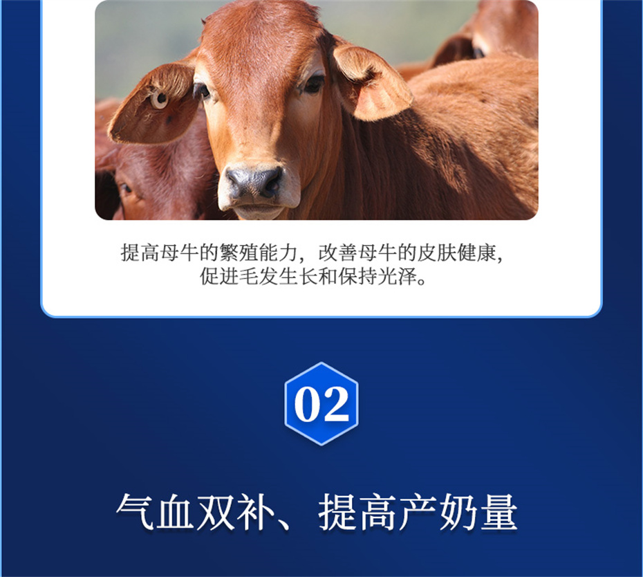 long8Ψһ��������ţ���������Ӽ�����Ѫţ���Ʒ����