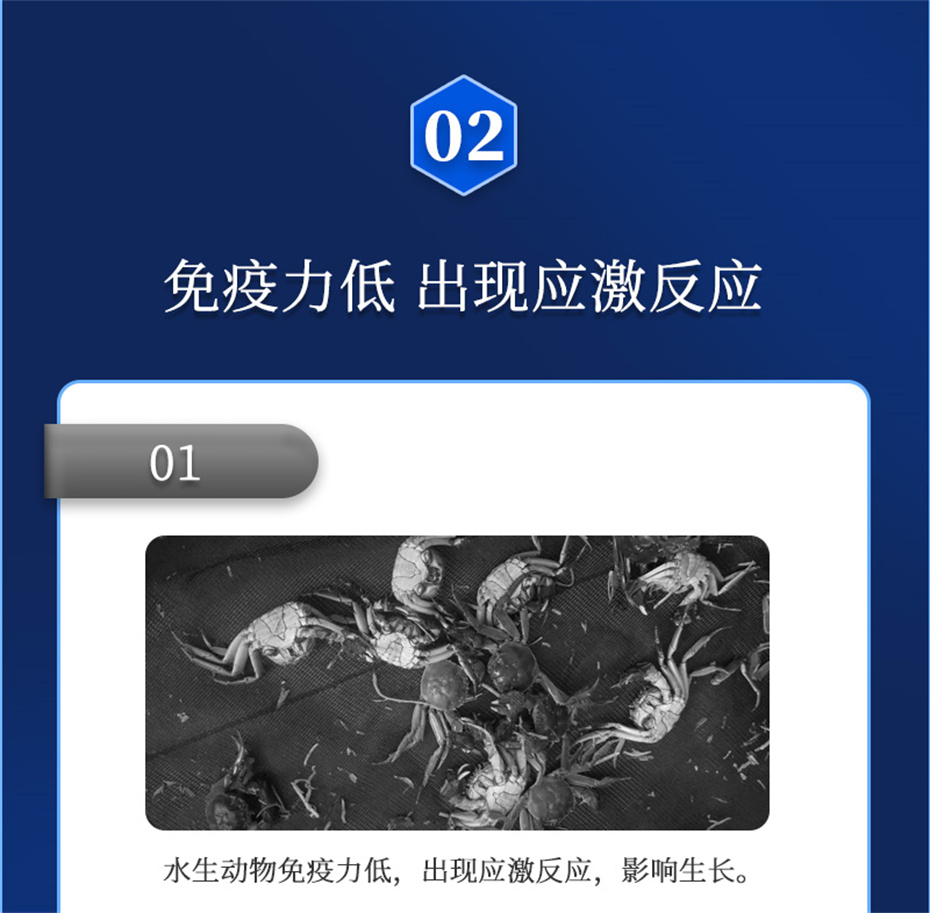 long8Ψһ��������ˮ���������Ӽ�ά��1�Ų�Ʒ����