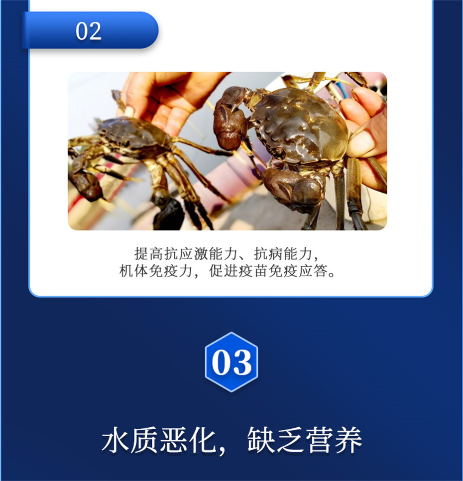 long8Ψһ��������ˮ���������Ӽ�ά��1�Ų�Ʒ����