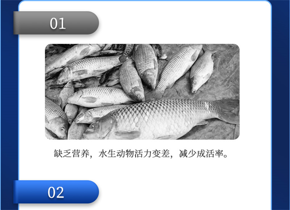 long8Ψһ��������ˮ���������Ӽ�ά��1�Ų�Ʒ����