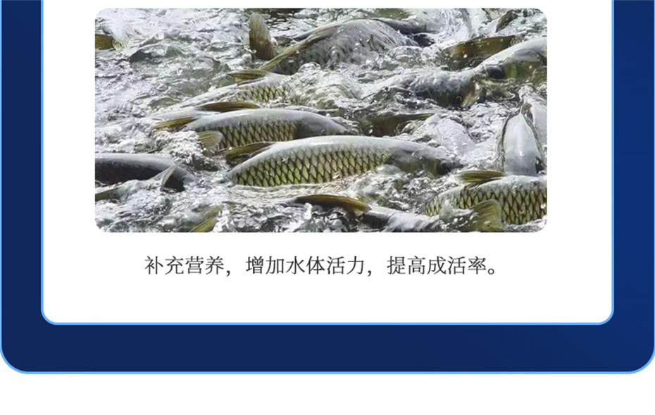 long8Ψһ��������ˮ���������Ӽ�ά��1�Ų�Ʒ����