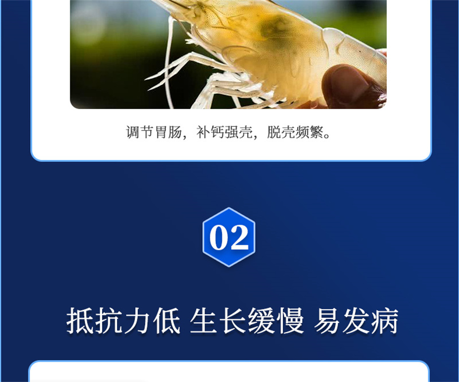 long8Ψһ��������ˮ���������Ӽ��ε���ˮ����Ʒ����