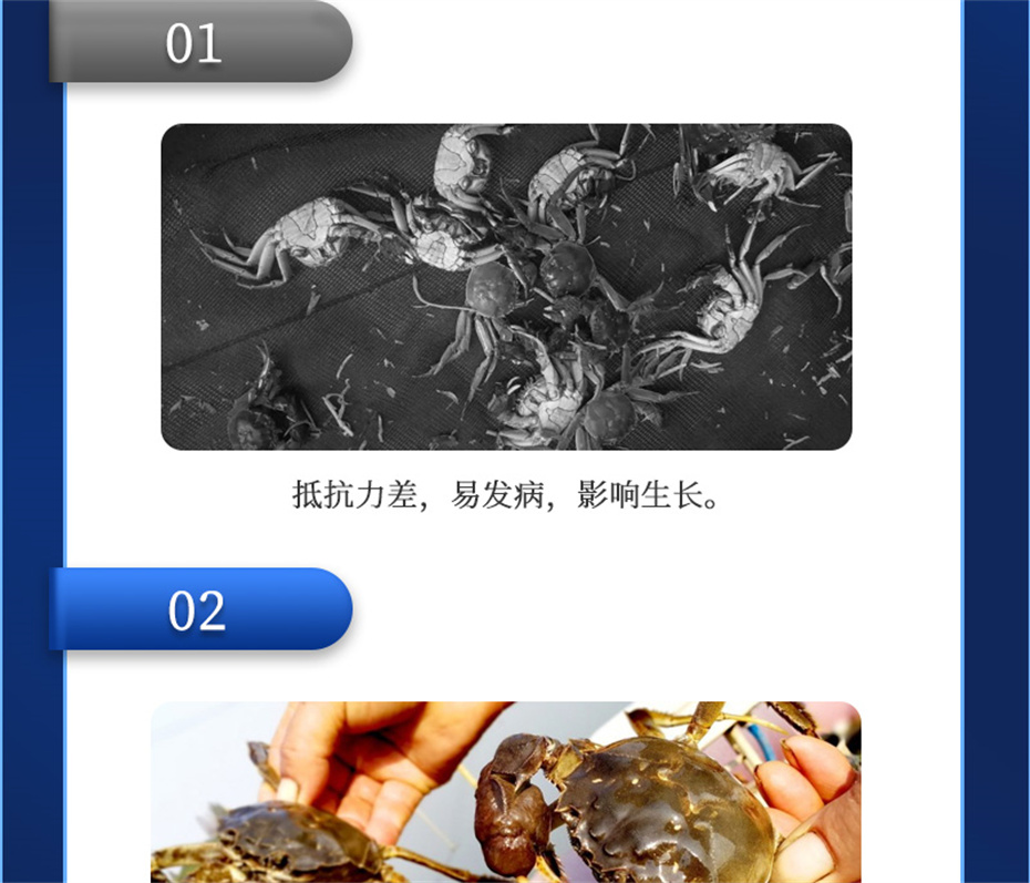 long8Ψһ��������ˮ���������Ӽ��ε���ˮ����Ʒ����