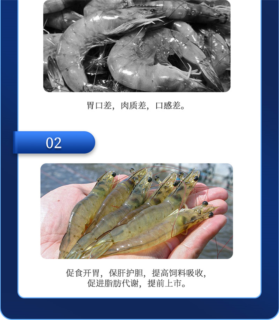 long8Ψһ��������ˮ���������Ӽ��ε���ˮ����Ʒ����