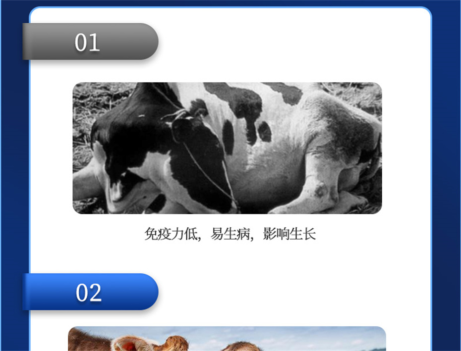 long8Ψһ��������ţ���������Ӽ�����Ѫţ���Ʒ����