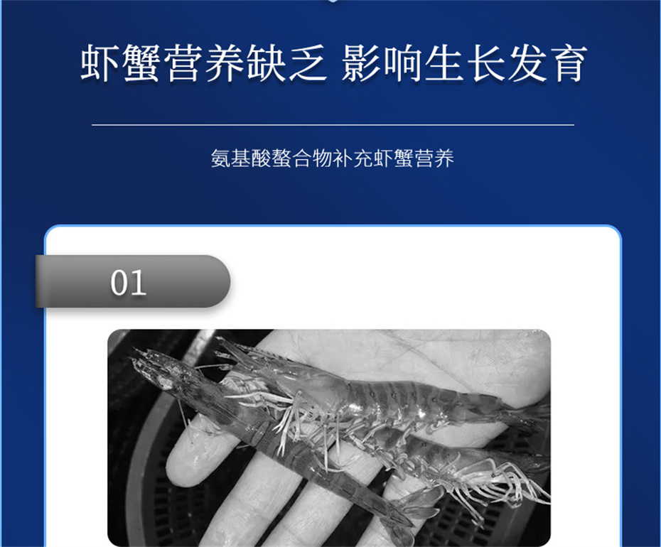 long8Ψһ��������ˮ���������Ӽ�Ϻ������Ʒ����