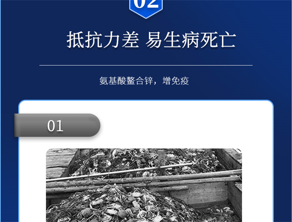 long8Ψһ��������ˮ���������Ӽ�Ϻ������Ʒ����