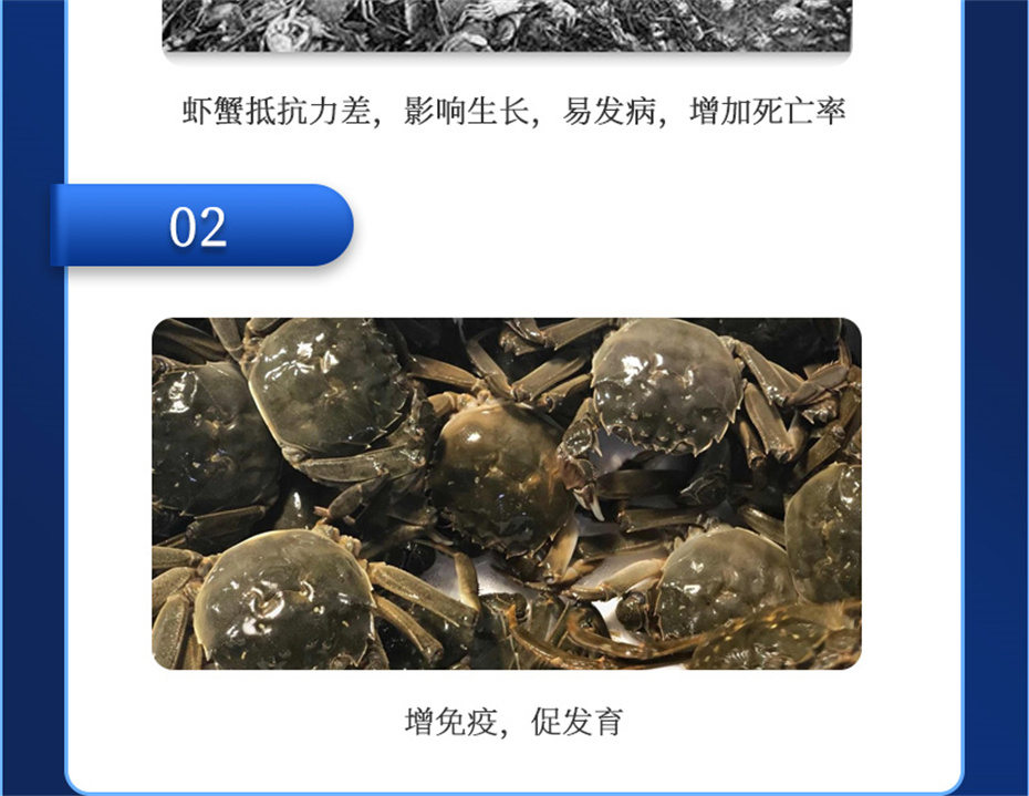 long8Ψһ��������ˮ���������Ӽ�Ϻ������Ʒ����