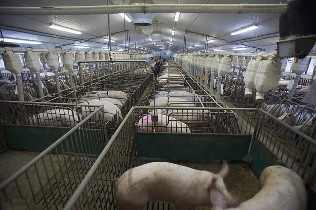 long8Ψһ������������������