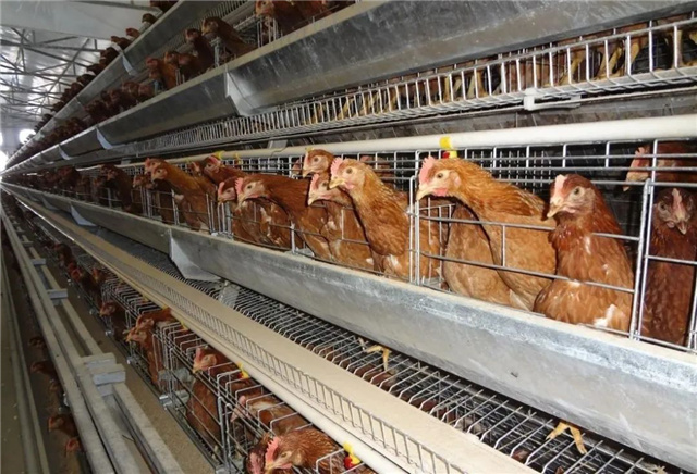 �������Ӽ�