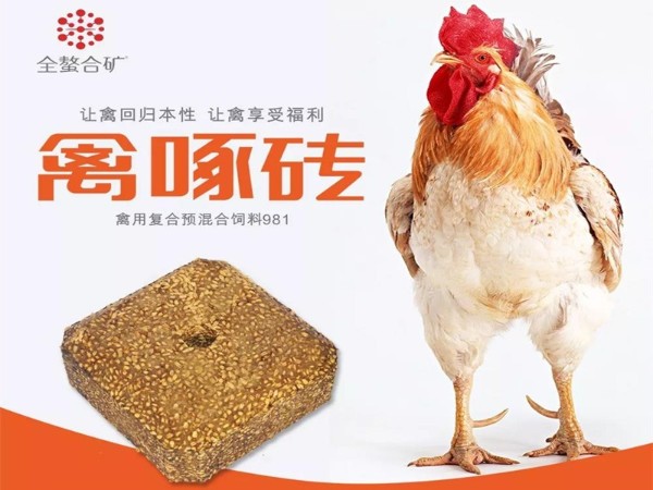 ����ש�������������ܸı�ʲô��