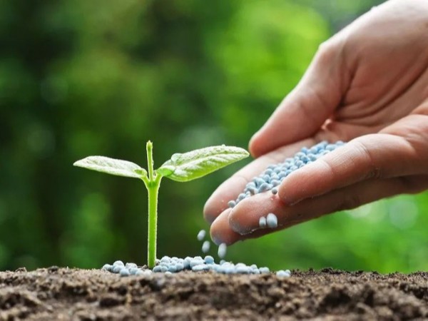 �߲������ʩ����