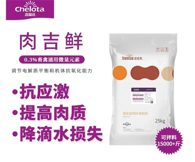 �������Ӽ�