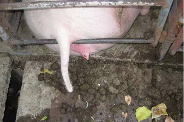 ĸ�����ص�����