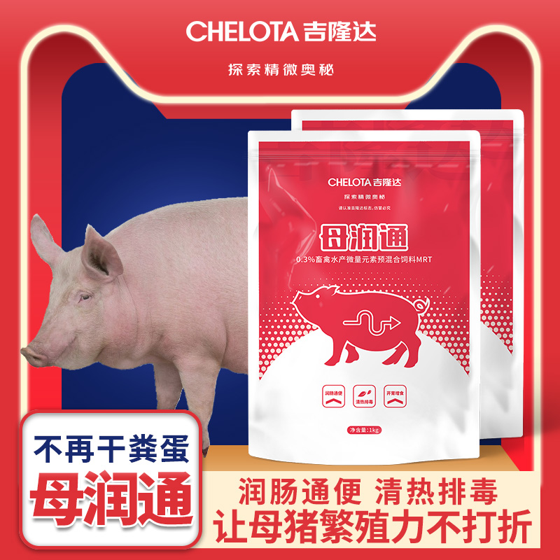 �������Ӽ�ĸ��ͨ