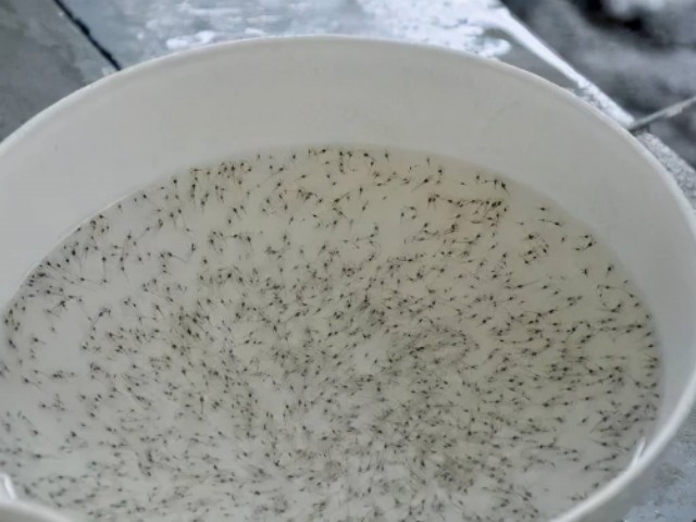 ��Ϻ�����Ҫע��ʲô