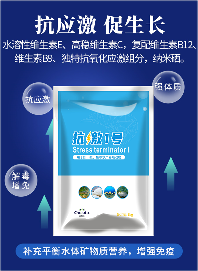 Ԥ����ϺӦ��_����1��