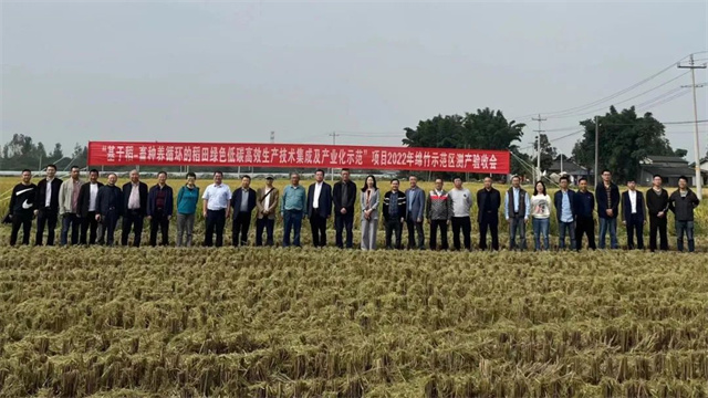 ��-������ѭ����ģʽ����