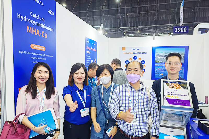 long8Ψһ������չVIV-ASIA