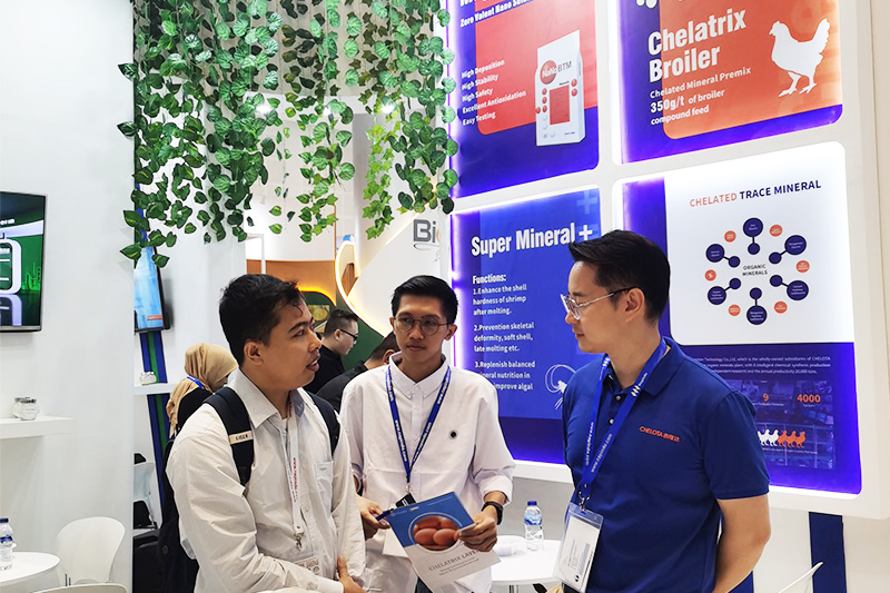 long8Ψһ������չӡ���������չ