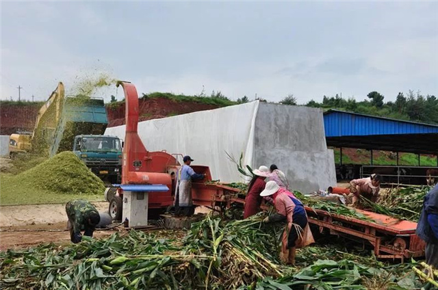 �������Ӽ�