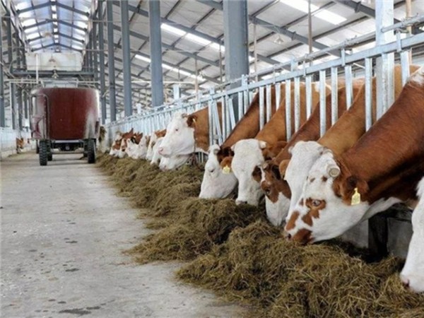 �������Ӽ�