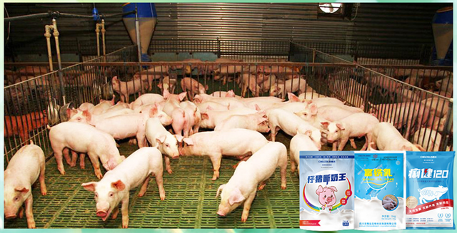 long8Ψһ���������������Ӽ�