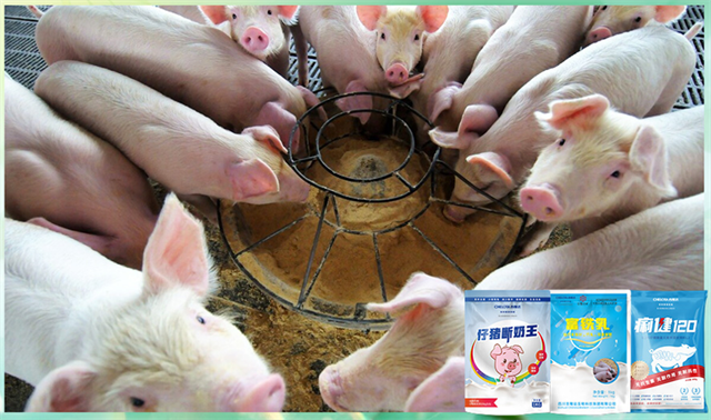 long8Ψһ���������������Ӽ�