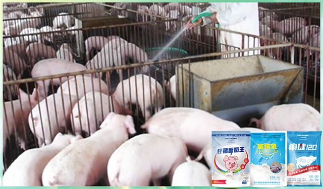 long8Ψһ���������������Ӽ�