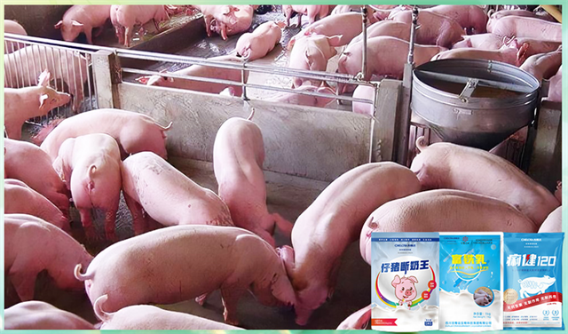 long8Ψһ���������������Ӽ�