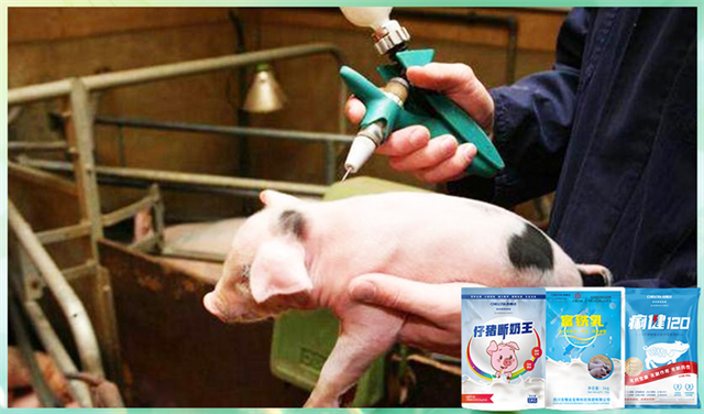 long8Ψһ���������������Ӽ�